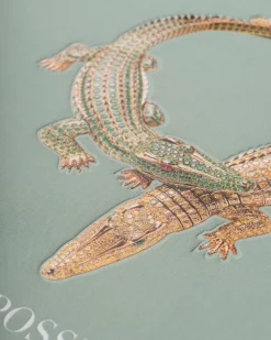 Assouline Bijoux & Montres<L'Impossible Collection De Bijoux